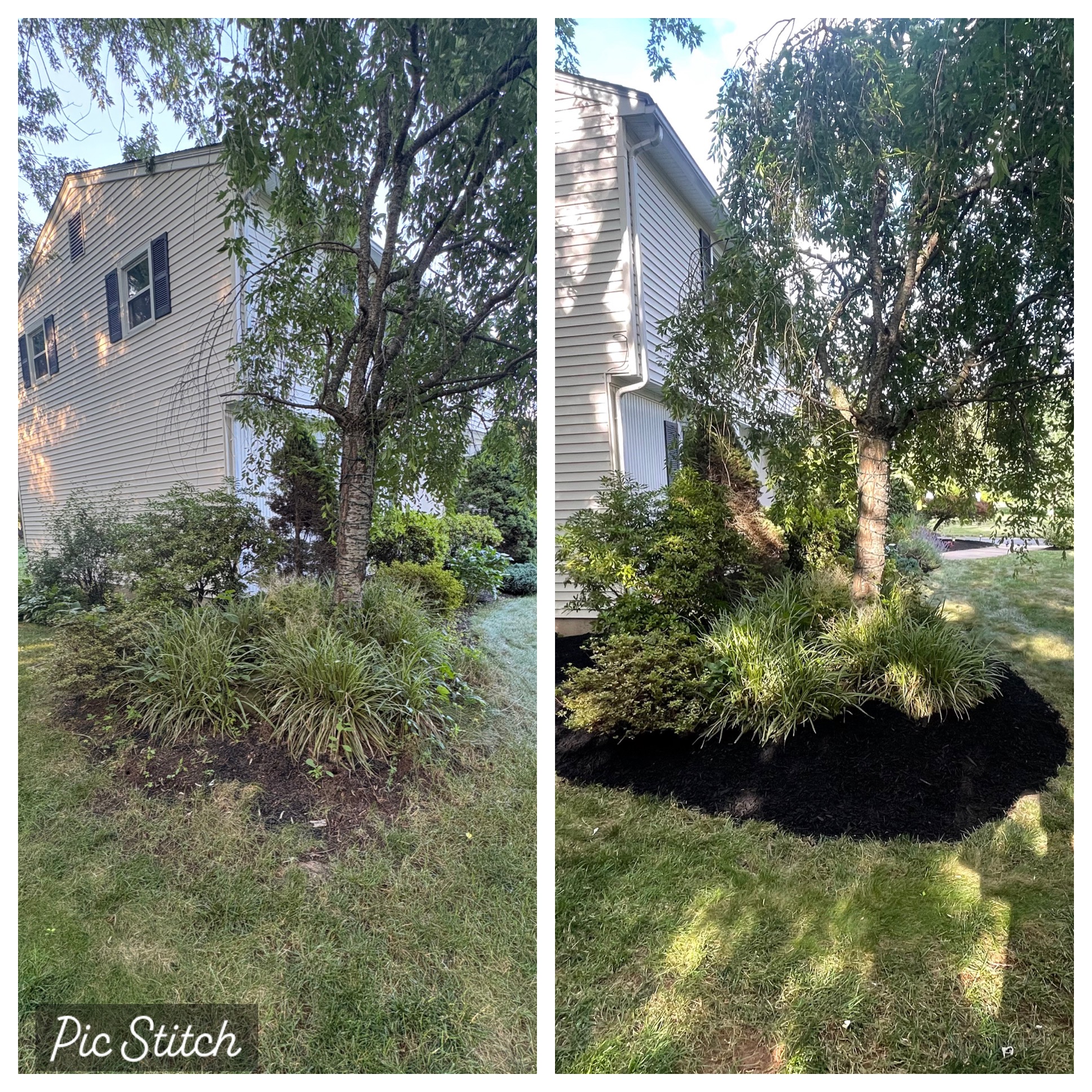 A cleaner edge to the garden — Yard cleanup & mulch