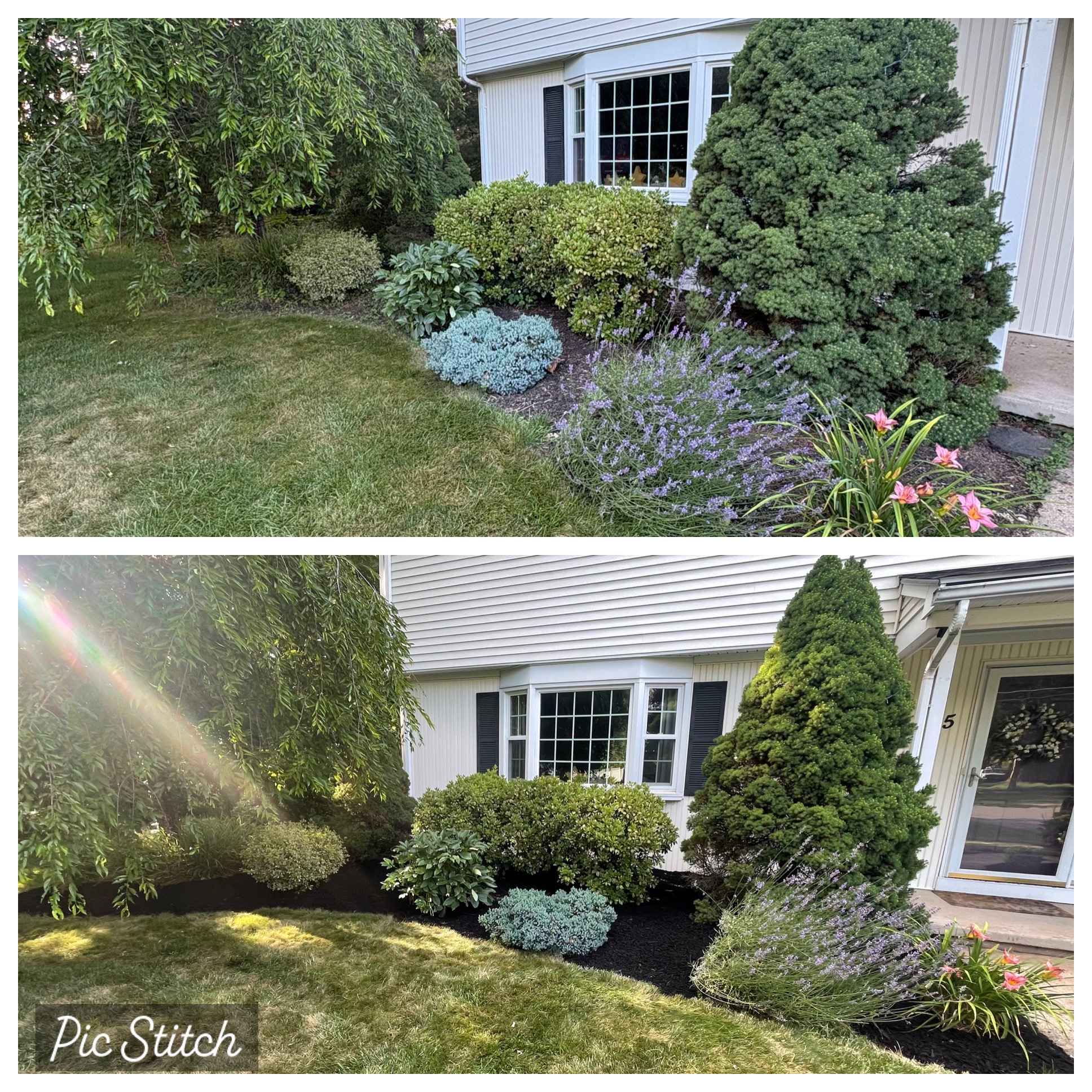 Garden bed before and after fresh black mulch and landscape cleanup