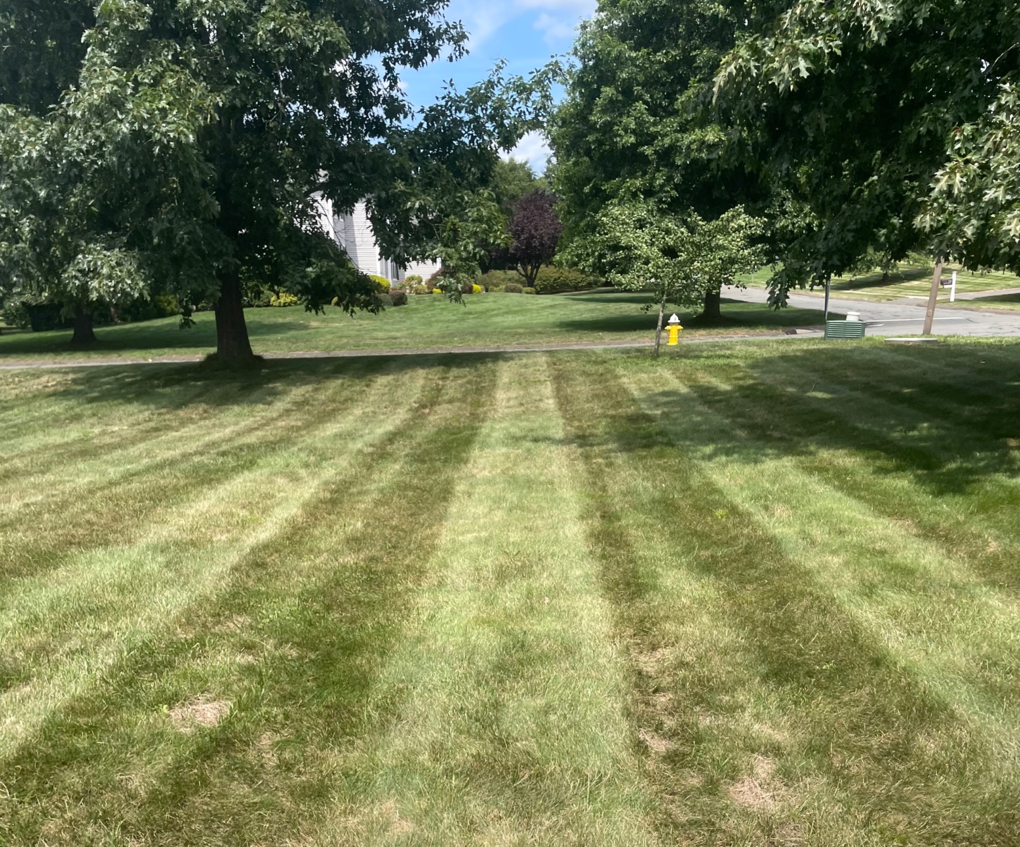 Fresh lines. A lawn to enjoy. — Lawn mowing